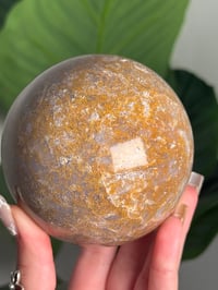 Image 2 of MOSSY SEA JASPER SPHERE -MADAGASCAR- C