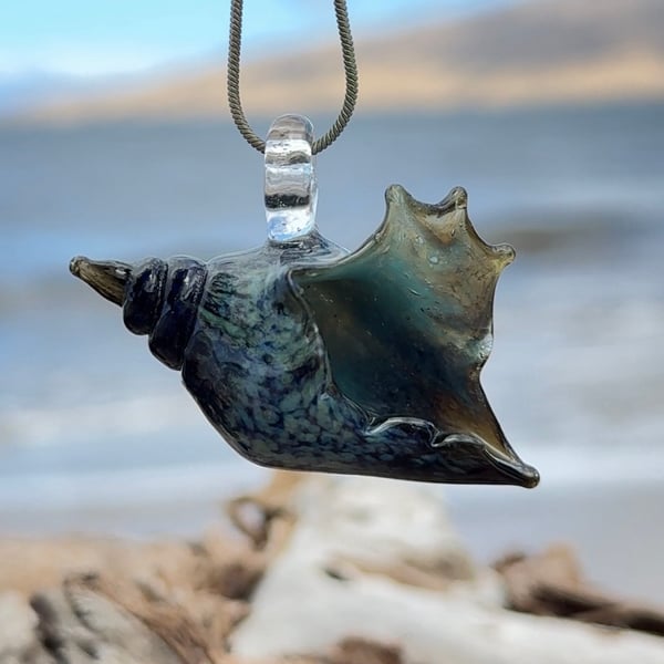 Image of Black and aqua coral Bulb Shell