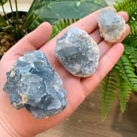 Image 1 of Celestite Clusters