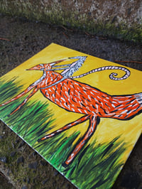 Image 4 of Possum Riding Fox