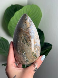 Image 2 of SEA JASPER FREEFORM -MADAGASCAR- F
