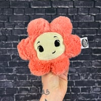PEANUT- Tulip