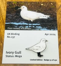 Image 1 of Ivory Gull - No.137 - UK Birding Series