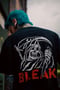 Image of Bleak Death T-Shirt