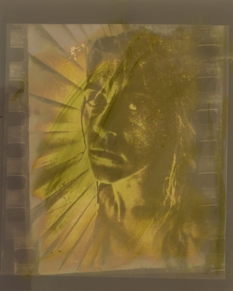 Image of “Contact Print”