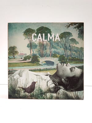 Image of Calma primavera.