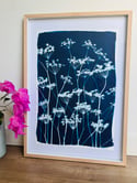 Original Flowering Cyanotype
