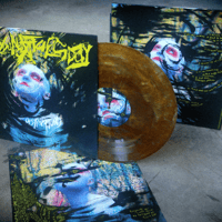 Image 1 of DISTRACTIONS vinyl record