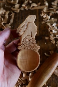 Image 7 of The Star Gazing Hare Scoop 