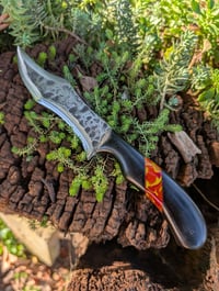 Image 2 of HYBRID HUNTER