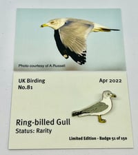 Image 1 of Ring-billed Gull - No.81 UK Birding Pins - Enamel Pin Badge