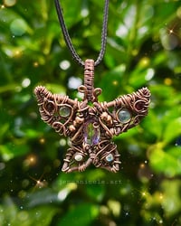 Image 3 of Butterfly Dreams 