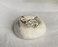 Image 3 of Fièvre - Collection Passions