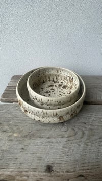 Image 1 of Curvy Skåle Birk