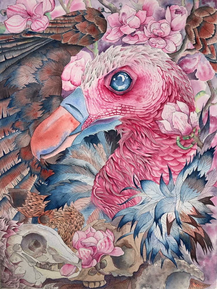 Image of Spring Vulture