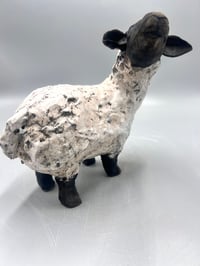 Image 5 of Raku Dream Sheep- Julie Kradel
