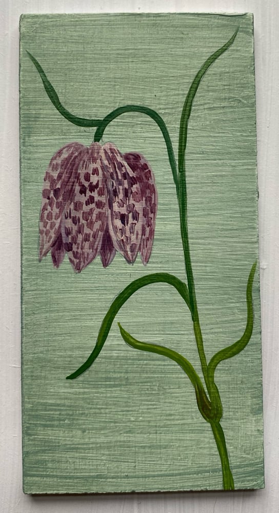 Image of special order Fritillary 