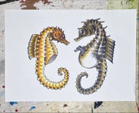Sea horse a4 print 