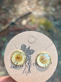 Image 2 of Little Sunshine Stud Earrings 
