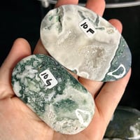 Image 4 of Moss Agate Palm Stones
