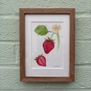 Image 1 of £50 originals - strawberry watercolour