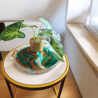 Image 2 of Custom Resin Trays