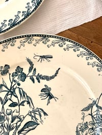 Image 10 of Assiettes Terre de fer - Pexonne fin XIXe