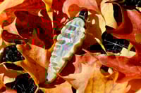 Image 1 of Compression Implosion Pendant