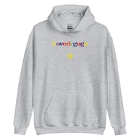 Image 3 of LOVE DC GOGO "SPORT MULTICOLOR" Unisex Hoodie by MITCHCRAFT