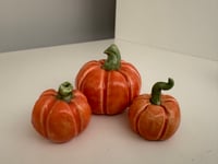 Image 2 of Pwmpenni - Pumpkins