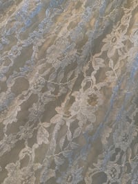 Image 13 of 1960s Lace Beauty 