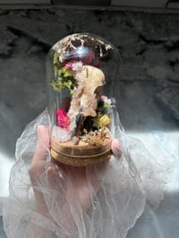 Image 5 of Raven skull 