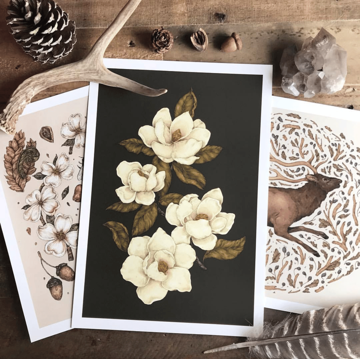 Image of Magnolias Print