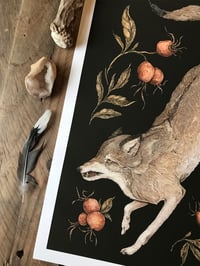 Image 2 of The Wolf and Rose Hips Print