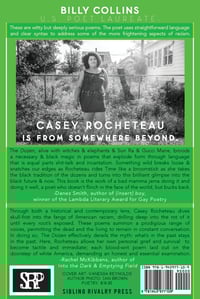 Image 2 of The Dozen by Casey Rocheteau