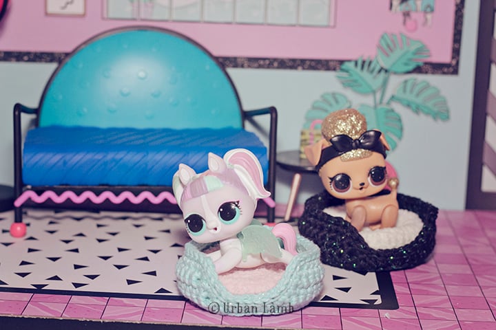 Image of Pet Bed Pattern
