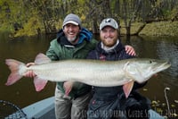Image of Magnum Musky Worm Tails