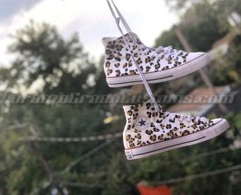 Image of Leopard Chucks