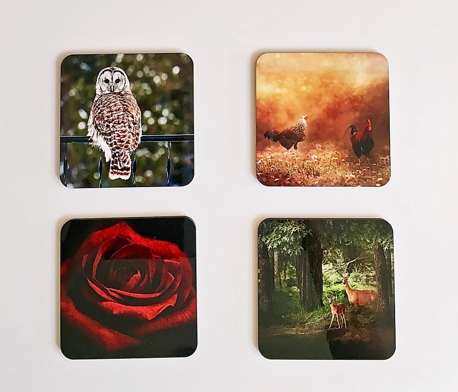Image of Nature Coasters with handmade Maple Stand, Red Rose, Wildlife, Rooster, Set of Four Coasters