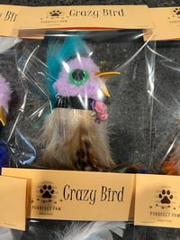 Image 4 of Crazy Bird