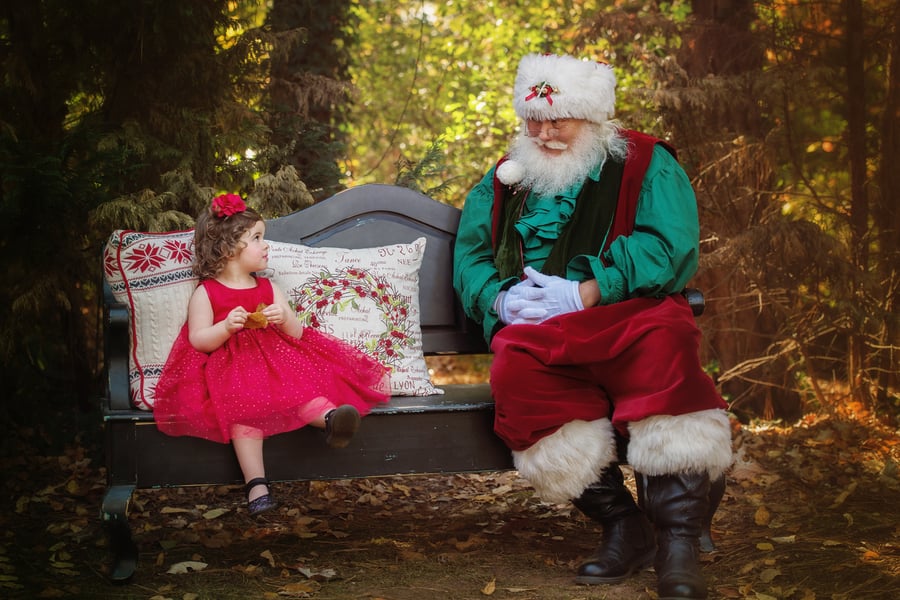 Image of Santa and/or Christmas Tree Mini-sessions - November 10th