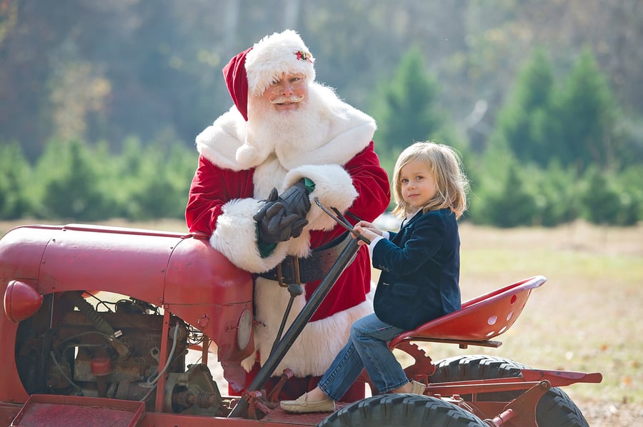 Image of Santa and/or Christmas Tree Mini-sessions - November 10th