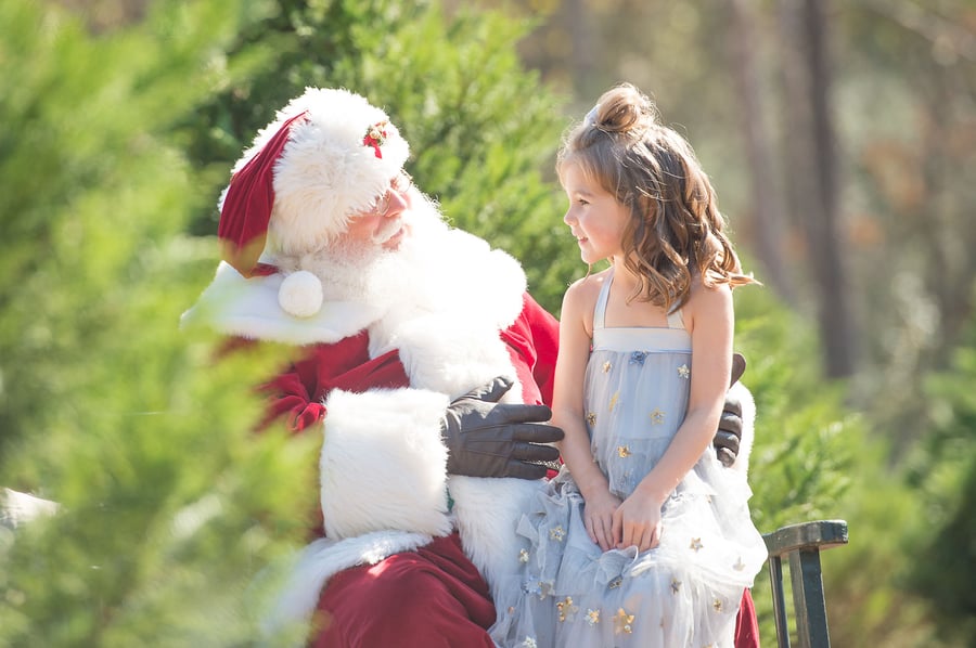 Image of Santa and/or Christmas Tree Mini-sessions - November 10th