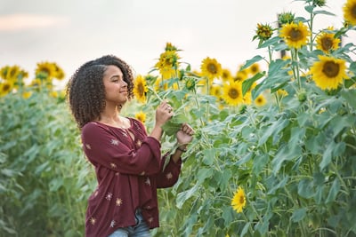 Image of Sunflower Mini-Sessions - October 2- estimated date, Prospect Farms
