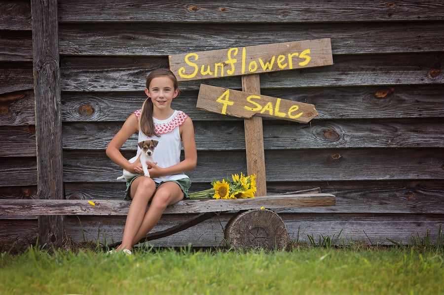 Image of Sunflower Mini-Sessions - September 10 - Milton, GA (estimated date)