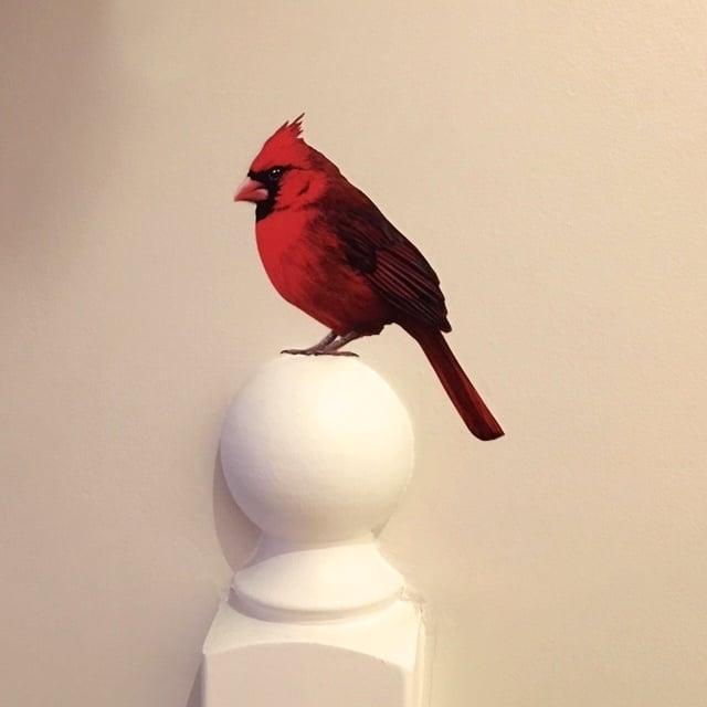 Image of Wolsey Cardinal ~ Removable Wall sticker