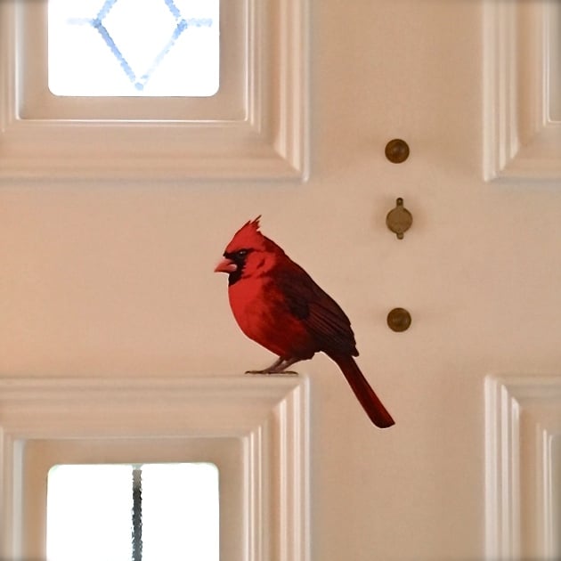 Image of Wolsey Cardinal ~ Removable Wall sticker