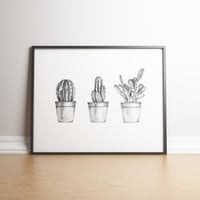 Image 2 of Cactus Collection limited edition print