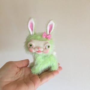 Image of Apple the Tiny Yak-faced Bunny