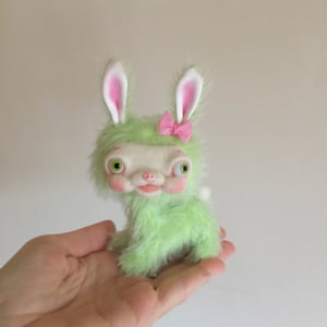 Image of Apple the Tiny Yak-faced Bunny